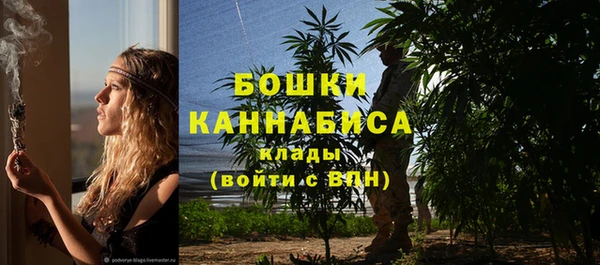 СК Няндома