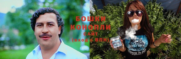 PSILOCYBIN Нягань