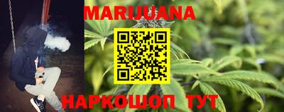 мдпв Гусев