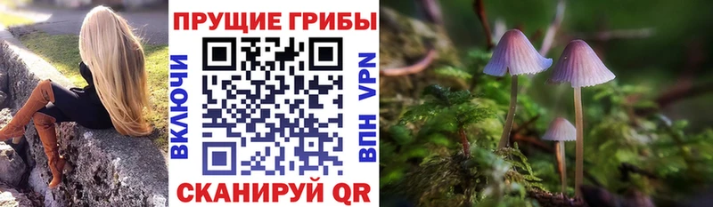 Галлюциногенные грибы мицелий  блэк спрут маркетплейс  Ишим 