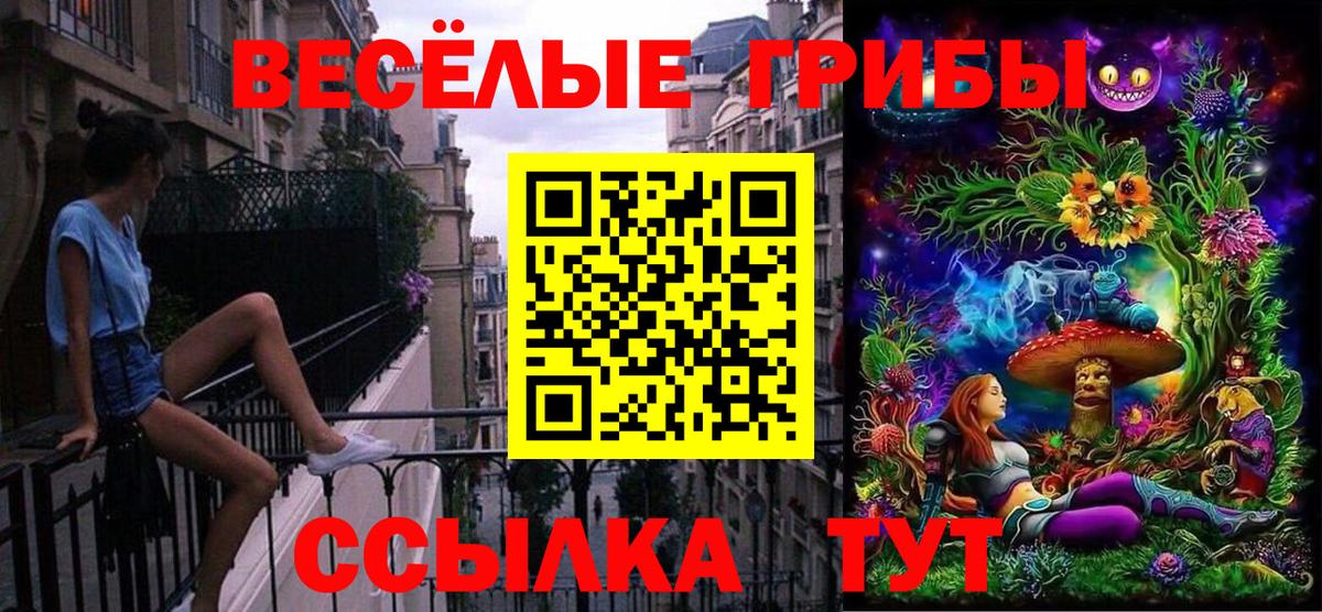 Псилоцибиновые грибы Psilocybe  Галлюциногенные грибы MAGIC MUSHROOMS  Вход с VPN  Ишим 