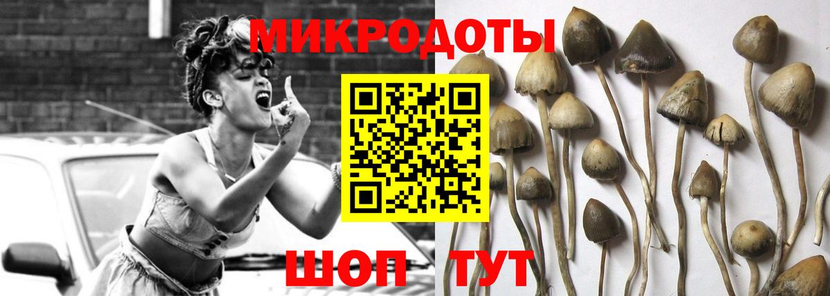 Псилоцибиновые грибы Psilocybine cubensis Ишим